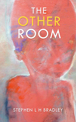 The White Island Series: The Other Room